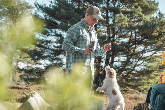 What to Wear Walking the Dog: A Men's Clothing Guide