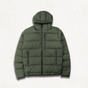 Dark Forest Green