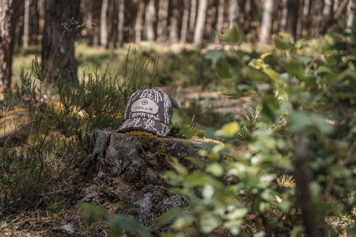 Camo Trucker Cap in Bark, resting on a stump in a pine wood.